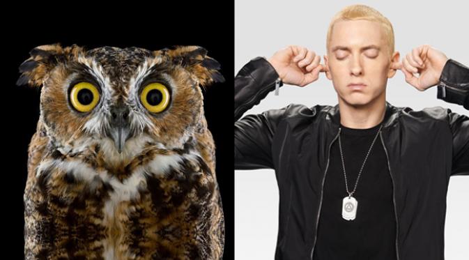 Phobia Eminem terhadap burung hantu.