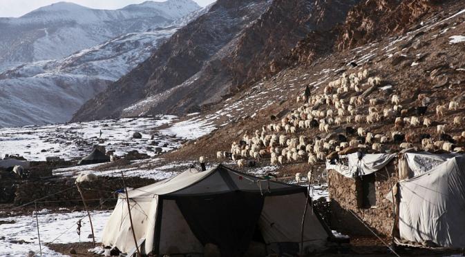 Salah satu spot berdiam suku nomad di Himalaya. (Car Vinton)