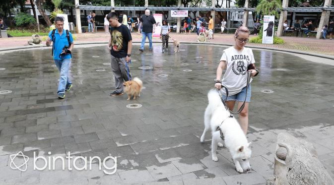 Semua Jenis Anjing Bisa Dilatih Menjadi Anjing Pelacak. (Foto: Bintang.com/Galih W. Satria)