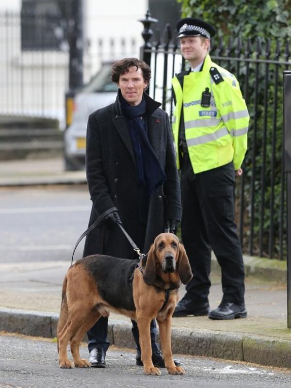 Serial Sherlock (Huffington Post)