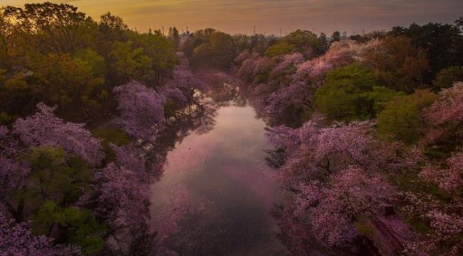 Inokashira Koen, Jepang. (Danilo Dungo)