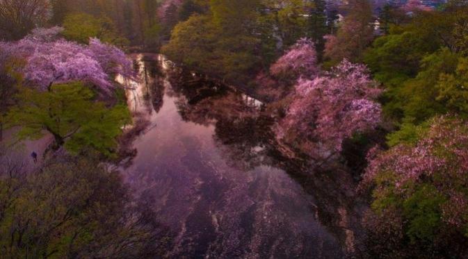 Inokashira Koen, Jepang. (Danilo Dungo)