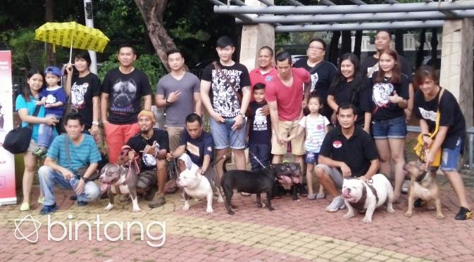 Jakarta Bully Club, Tempatnya Para Pecinta Anjing American Bully. (Foto: Bintang.com/Dadan Eka Permana)