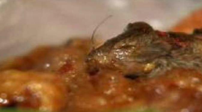 Tikus yang ditemukan di dalam makanan sebuah restoran di Texas (KFOX)