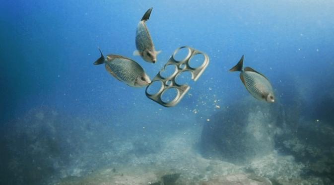 Plastik yang terbuat dari kompos ini dapat membantu menyelamatkan mamalia laut yang hampir setiap tahun mati akibat sampah plastik di laut. Sumber : mymodernmet.com