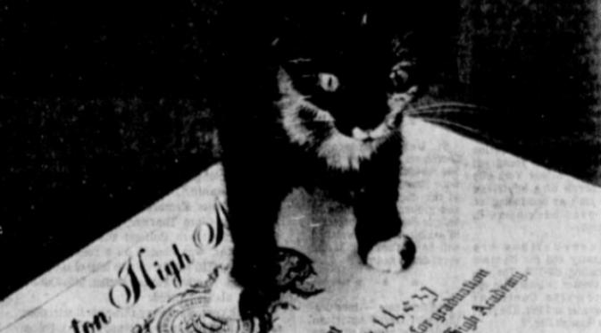 Kitty O'Malley (The Ledger).