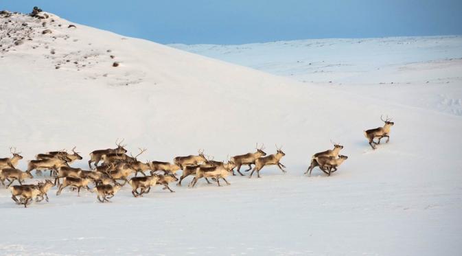 Eastfjords, Islandia. (Getty Images)