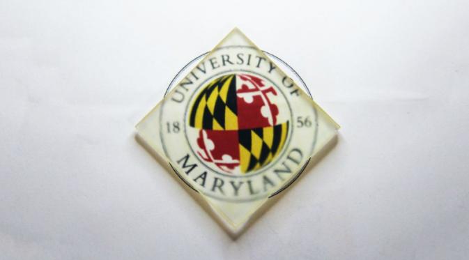 Kayu transparan dapat digunakan sebagai material pengganti kaca (University of Maryland).