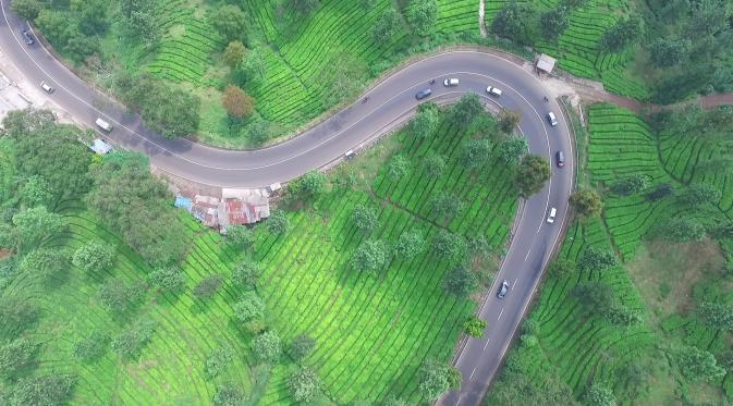 Salah satu sudut kawasan Puncak yang menjadi perlintasan menuju Desa Tugu Selatan, Cisarua, Jawa Barat. (Liputan6.com/Balgorazky Marbun)