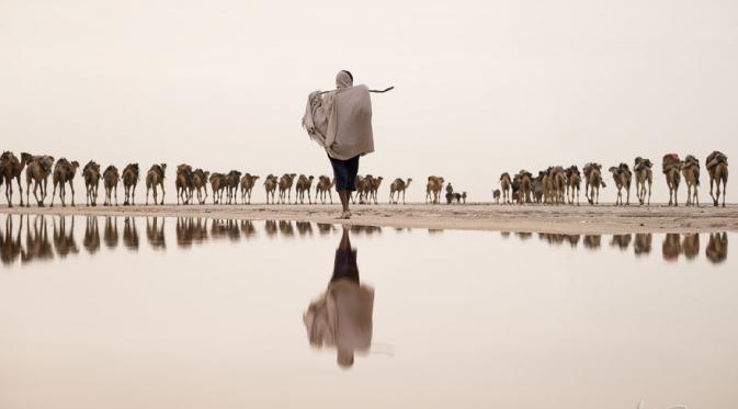 Unta dan penambang garam, Danakil Depression, Ethiopia. (Joel Santos/Bored Panda)