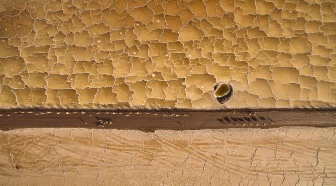 Kawanan unta dan pasir berpola, Danakil Depression, Ethiopia. (Joel Santos/Bored Panda)
