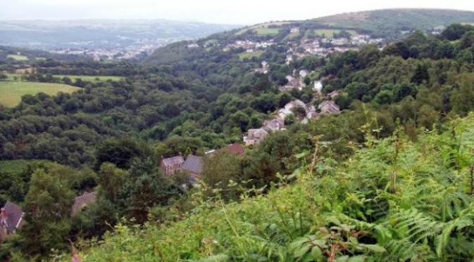 Desa yang tenang ini diobrak-abrik segerombolan domba yang teler karena diduga mengunyah tanaman ganja. (Sumber Wales News via Telegraph)