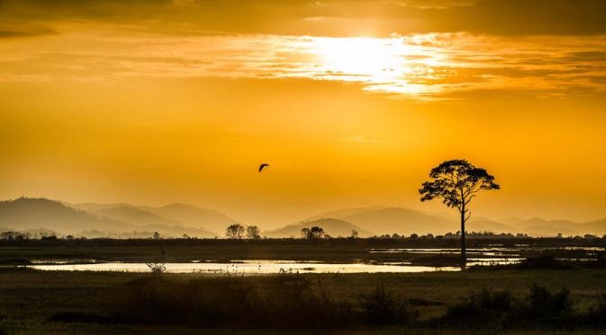 Buon Ma Thuot, Vietnam. (Rehahn/Bored Panda)