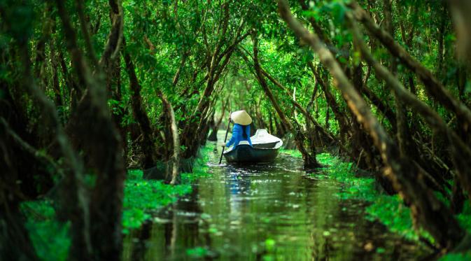 Hutan Tra Su, Vietnam. (Rehahn/Bored Panda)