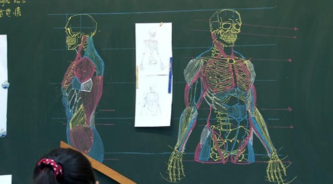 Ia menciptakan gambar di papan tulis dengan detail dan akurat dari bentuk anatomi. (Via: boredpanda.com)