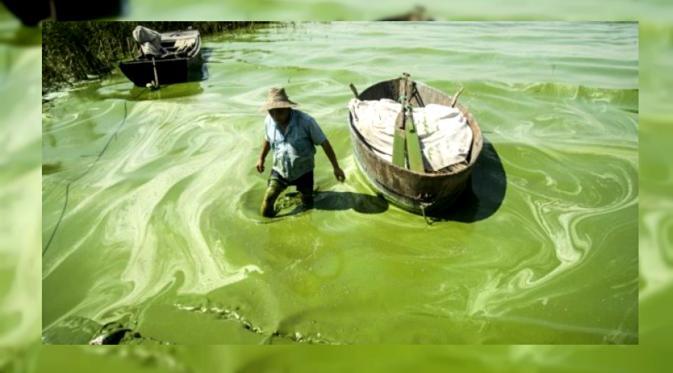 Laut berubah menjadi warna hijau sebagai dampak dari pemanasan global akibat limbah produk hasil pabrik di sejumlah kota besar di China.(sumber: China Daily)