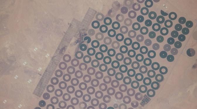 Sistem irigasi di gurun Saudi Arabia. Mengorbit 400 km di atas permukaan bumi, para astronot ISS seakan sedang berfoto menggunakan tripod yang sangat tinggi. (Sumber NASA)