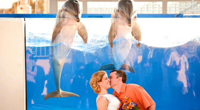 Foto pernikahan unik dua lumba-lumba menyaksikan seorang pria mencium pipi pengantinnya (sumber: Sarah Mac Photography)