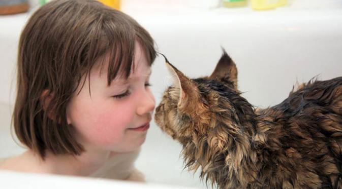 Kisah nyata seorang gadis cilik pengidap autisme yang dibantu  terapi oleh seekor kucing (foto:Boredpanda.com)