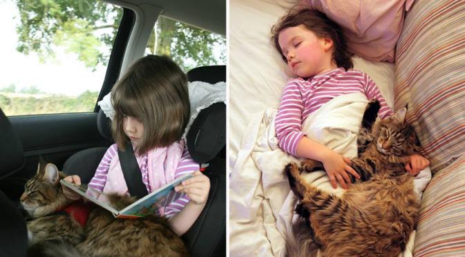 Kisah nyata gadis cilik pengidap autisme yang sembuh karena berteman dengan kucing (foto: boredpanda.com)  