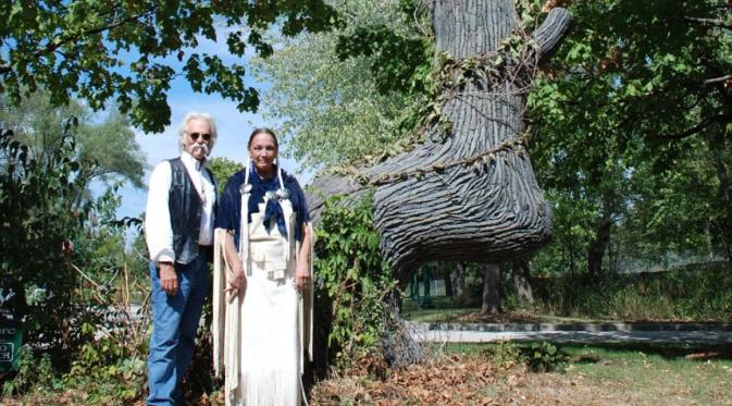 Pohon bungkuk merupakan penunjuk arah  yang digunakan oleh penduduk asli AS, untuk menandai jalan, sungai, dan juag perkampungan (Dennis Downes/Dailymail.com ). 