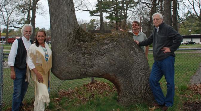 Pohon 'bungkuk' digunakan sebagai penunjuk arah oleh penduduk asli AS (Dennis Downes/Dailymail.com)