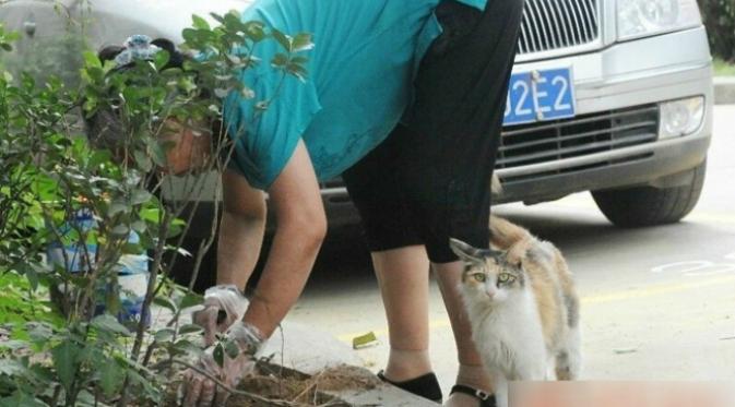 Seekor induk kucing terlihat berusaha keras menghidupkan kembali anak-anaknya yang dibantai secara keji oleh orang tak dikenal. (Sumber Sina via Shanghaiist.com)