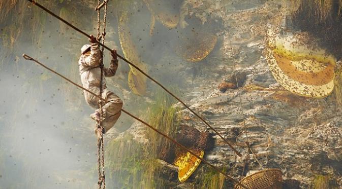 Petani di Nepal ini menggantungka hidupnya pada madu (Sumber. Andrew Newey/Elitereaders.com)