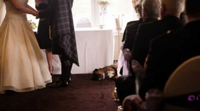 Perkenalkan Regina Wyllie, gadis 9 tahun yang sudah sukses sebagai fotografer pernikahan di Scotlandia. Sumber: Brightside.me.