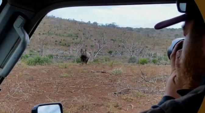 Pengunjung taman nasional terlambat menyadari serangan sang badak dan masih sempat menjepretkan kamera beberapa kali. (Sumber Kruger Sightings)