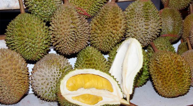 Singapura Nyatakan Buah Durian Haram, Setuju?