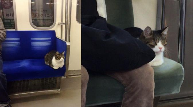 Terkadang ia mengambil tempat duduk paling sudut lalu tidur dan turun di stasiun yang entah apakah memang menjadi tujuannya.