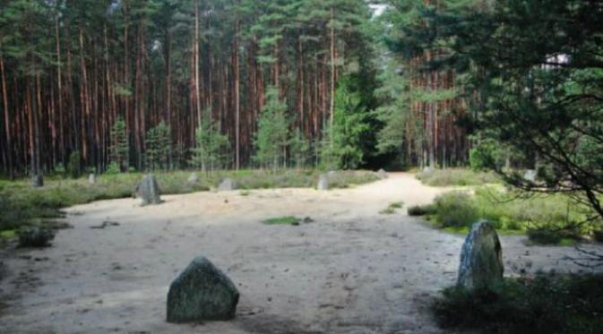 Cincin batu di Grzybnica, Polandia. Pada umumnya, para ahli arkeologi Nazi memang tertarik dengan segala sesuatu yang mereka anggap gaib, termasuk lingkar-lingkar batu di Odry. (Sumber Ancient Origins)
