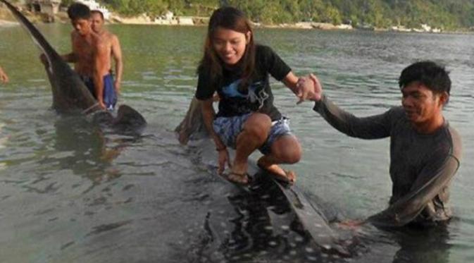 Hiu paus ditunggangi di Filipina (Toronto Sun)