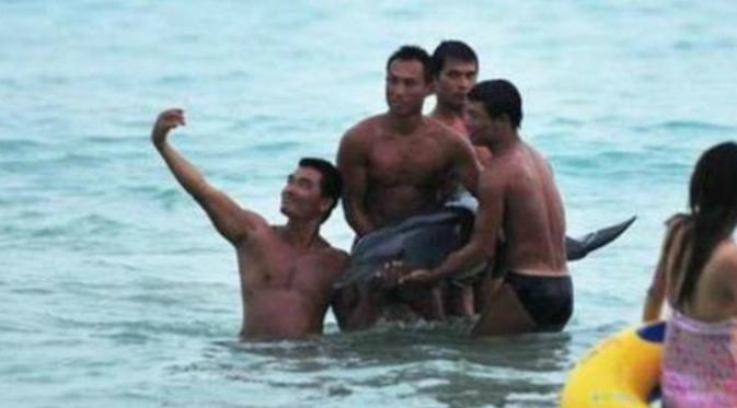 Insiden lumba-lumba di China (gapyear.com)