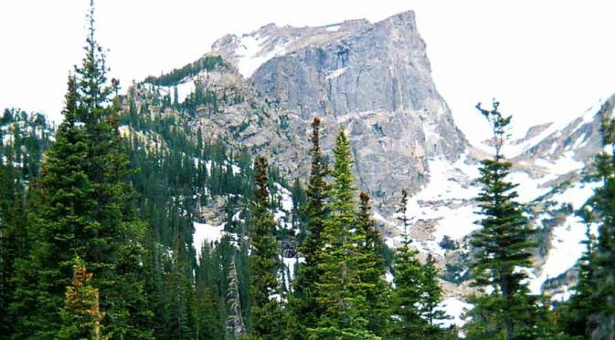 Hutan di Pegunungan Rockies (evergreenmagazine.com)
