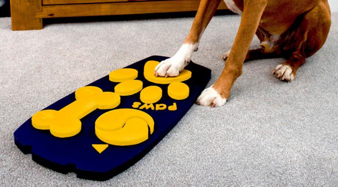 Segera Hadir Remote Control TV Khusus untuk Anjing. (Foto: digitalspyuk.cdnds.net)