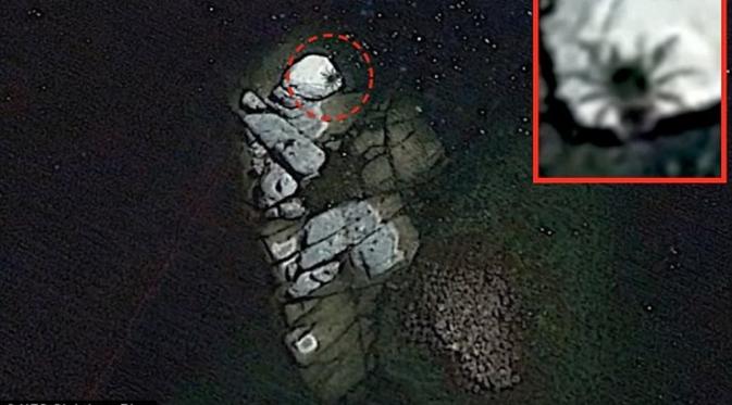 Laba-laba raksasa itu terlihat di sebuah pulau tak berpenghuni, diperbesar dari Google Earth oleh sekelompok pemburu alien (Dailymail.com)