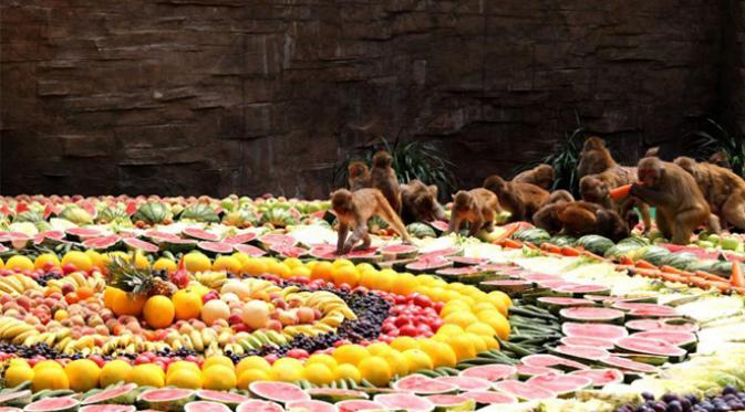 Heboh Festival Monyet Habiskan 4000 Kg Buah
