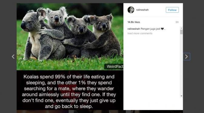 Raline Shah ingin hidup santai seperti koala. (Instagram)