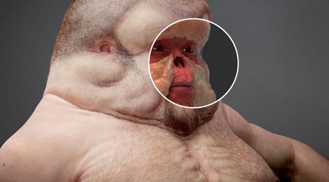 Graham punya wajah datar dan banyak jaringan lemak untuk melindunginya dari benturan. (Via: boredpanda.com)