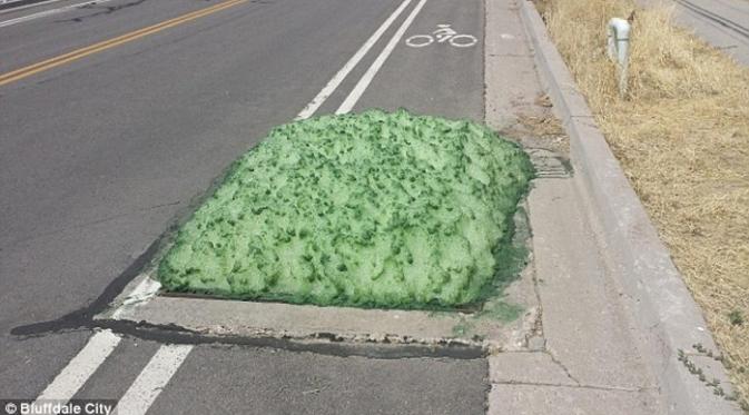 Lendir hijau misterius di salah satu area di Utah, Amerika Serikat. (Bluffdale City)