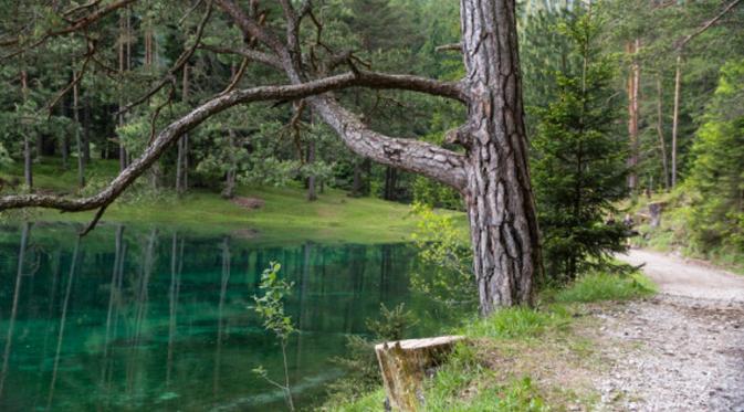 Green Lake, Australia di musim dingin. (Flickr)