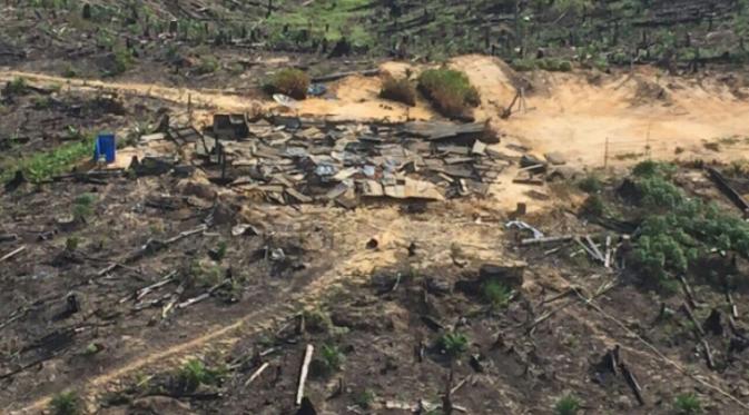 Sejumlah pondok perambah hutan masih berdiri di kawasan Taman Nasional Tesso Nilo Riau. (/M Syukur)