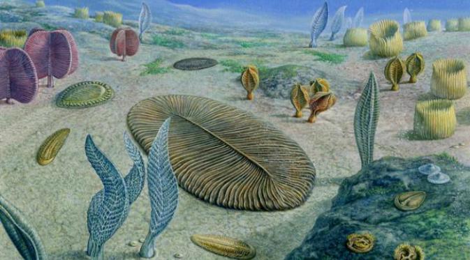 Ilustrasi organisme yang hidup di periode Ediakara (John Sibbick)
