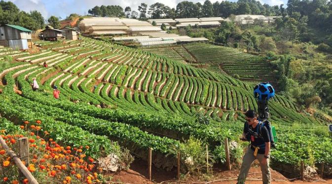 Panupong Luangsa-ard, lelaki yang berjalan sejauh 500 kilometer di Thailand. (Thailand Highlights)