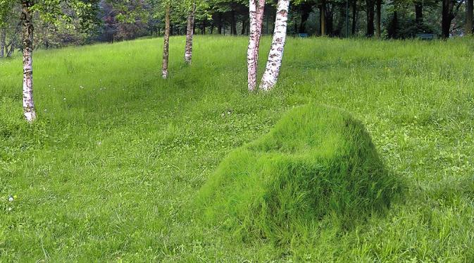 Terra grass. (Via: nucleo.to)