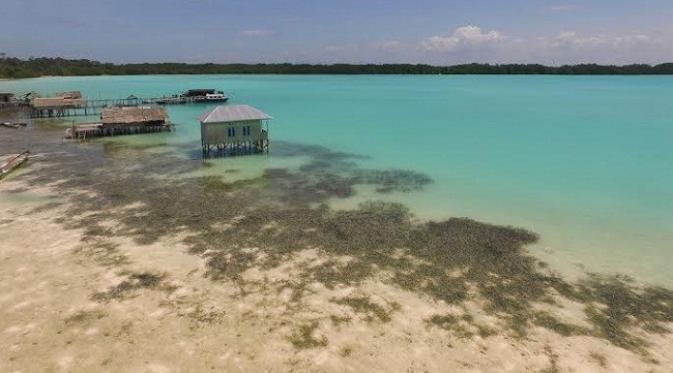 Hamparan pasir yang putih dan luas, air laut jernih kebiruan, serta terumbu karang yang terhampar dengan berbagai jenis keindahan biota menjadi keindahan Kepulauan Widi. Foto: Andi Jatmiko.