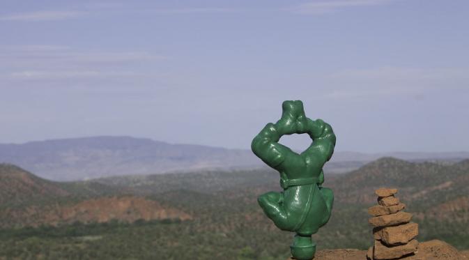 Lotus Headstand (Via: boredpanda.com)