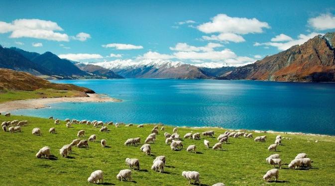 New Zealand. Sumber : nomadsworld.com